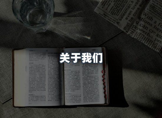 专业团队